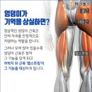 🟣엉덩이 기억상실증🟣 이미지