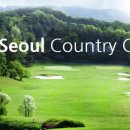 뉴서울 네이버블로그