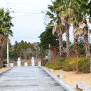 제주건강과 성박물관 이미지