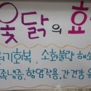 효촌약국 네이버블로그