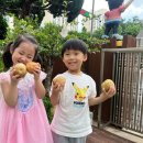 다모아유치원 이미지