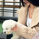 라이안성형외과의원 | 가슴수술전문병원 내돈내산 1000% 가슴수술찐후기 가슴수술대만족후기 최고!!! 강남성형외과 강남가슴성형