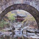 순천 태고총림 선암사의 배롱나무꽃 이미지