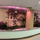 빛가람유치원 이미지