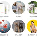 홈헬스케어 이미지