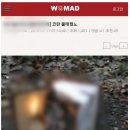 웜드