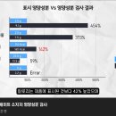 닭 치다