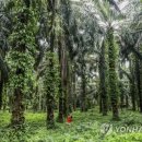 관영농장 이미지