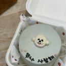 멍박스 | 광주 강아지 케이크 잘하는 멍베이크 후기 🫶🏻