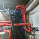 샤인무인텔 이미지