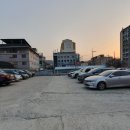 영광풍천장어 이미지