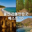 (주)기산과학 | 울진 가볼만한곳 베스트10
