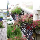 꽃향기정원 이미지