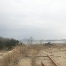 양사면-3 이미지