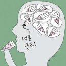 수면부족, 욕구불만인 경우 배고픔 많이 느껴 이미지