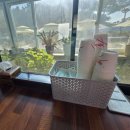 박지성축구센터(망포동) | 충남대천보령 | 김가네사골수제비