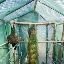 부국농장 이미지