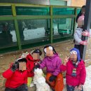 석성숲유치원 이미지