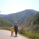 삼가-4 이미지