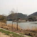 태화강대공원 대여소 | 울산12경 태화강대공원 십리대숲 울산방문의해 맞이 봄나들이