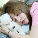 솜솜