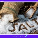 소금이 이미지