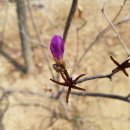 양평산수유펜션 이미지