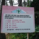 제주 올라 이미지