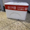 데일리로(DailyRo) 이미지