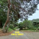 고령 여행 (온화한 비로자나불의 미소를 품은 사찰_고령 반룡사)