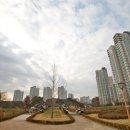 연기면_세종보 입구 네이버블로그