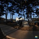 양남시장 화장실 이미지