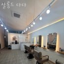 살롱드도화 이미지