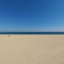 해운대시장 이미지