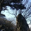 개화초등학교 | 금백종주... 계석마을에서 백양산까지