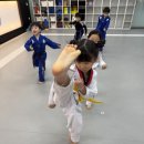 국가대표 라온태권도장 이미지