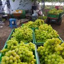 샤인하우스 가동 이미지