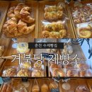 [춘천 수제빵집] 서부시장 거북당제빵소 솔직 후기! 미숫가루와 쌀크림빵