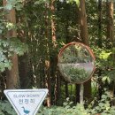 씨유 제주성읍교차로점 | 와일드오차드 티 페스티벌 마지막 날 방문후기