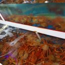 영광센터-5 이미지