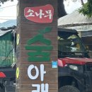 소나무숲아래 | 충주계곡평상 소나무숲아래 삼겹살먹은후기 내돈내산 솔직리뷰