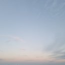 남양식당 | 남해여행기 2, 남해 독일마을 산책, 독일마을 카페 더 힐스, 남양식당 멸치쌈밥 후기
