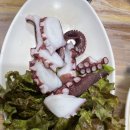 힐링포차 | [순천포차]순천이모카세 '힐링포차'에서 부모님과 술한잔 후기