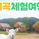 선재목장 이미지