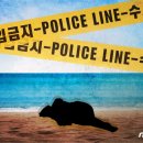 광산-평동-광산-47 이미지