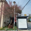 북이면보건지소 네이버블로그
