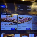 고기명작 괴정점
