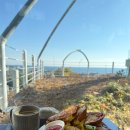 삼십오밀리미터 이미지