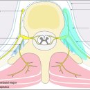 가다정한의원 이미지