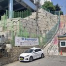 양지동